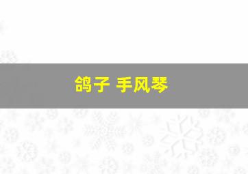 鸽子 手风琴